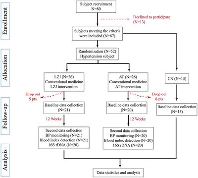 Liuzijue training improves hypertension and modulates gut microbiota profile